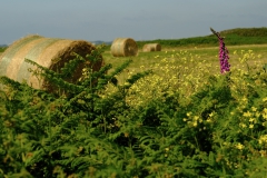 TonKlangLichterBretagneMixJuni-13