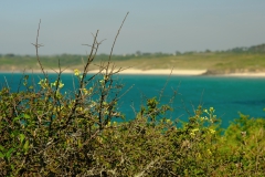 TonKlangLichterBretagneMixJuni-19