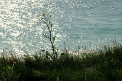 TonKlangLichterBretagneMix23-12