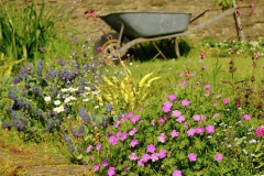 TonKlangLichterBretagneMix23-13