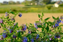 TonKlangLichterBretagneMix23-19