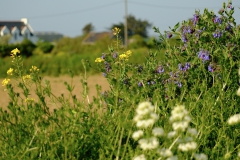 TonKlangLichterBretagneMix23-20