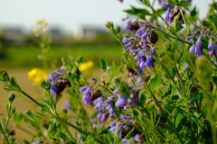 TonKlangLichterBretagneMix23-21