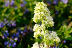 TonKlangLichterBretagneMix23-22