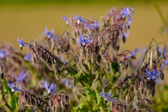 TonKlangLichterBretagneMix23-27