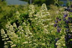 TonKlangLichterBretagneMix23-28