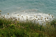 TonKlangLichterBretagneMix23-3