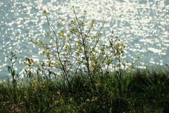 TonKlangLichterBretagneMix23-4