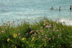 TonKlangLichterBretagneMix23-5