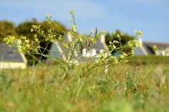 TonKlangLichterBretagneMix23-7