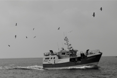 TonKlangLichterBHZ22SW-8