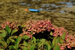 TonKlangLichterBretagneSep2-16