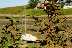 TonKlangLichterBretagneSep2-17