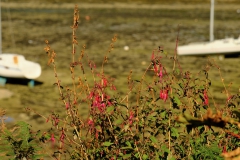 TonKlangLichterBretagneSep2-18