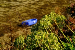 TonKlangLichterBretagneSep2-6