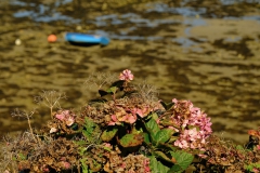 TonKlangLichterBretagneSep2-7