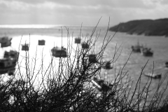 TonKlangLichterNocheinpaarSWer-7