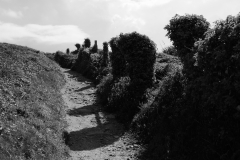 TonKlangLichter_Nostagie_2023_Mai-9