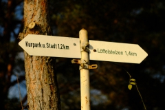 TonKlangLichterLoeffel-27