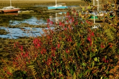 TonKlangLichterOktober23-11