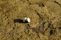 TonKlangLichterOktober23-16