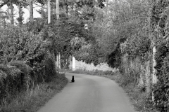 TonKlangLichterOktober23-18