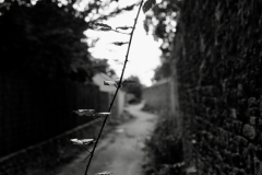 TonKlangLichterOktober23-19