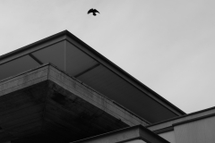 TonKlangLichterOktober23-5