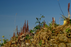 TonKlangLichterOktober23-8