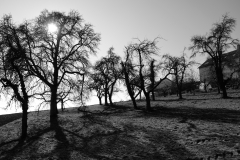 TonKlangLichtermondSWFeb23-2