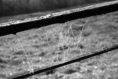 TonKlangLichtermondSWFeb23-3