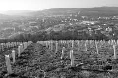 TonKlangLichtermondSWFeb23-4