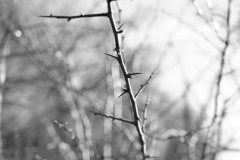 TonKlangLichtermondSWFeb23-5