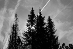 TonKlangLichtermondSWFeb23-6