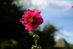 TonKlangLichterSebtemberFarben22-1