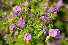 TonKlangLichterSebtemberFarben22-14