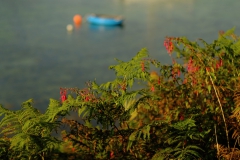 TonKlangLichterSebtemberFarben22-17