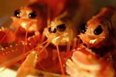 TonKlangLichterSebtemberFarben22-2