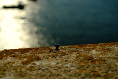 TonKlangLichterSebtemberFarben22-4