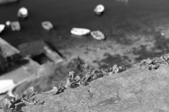 TonKlangLichterBretagneSep2SW-4