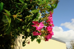 TonKlangLichterSpaziergang-13