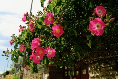 TonKlangLichterSpaziergang-14