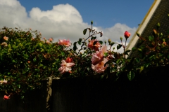 TonKlangLichterSpaziergang-17