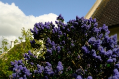 TonKlangLichterSpaziergang-18