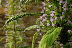 TonKlangLichterSpaziergang-19