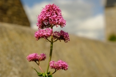 TonKlangLichterSpaziergang-20