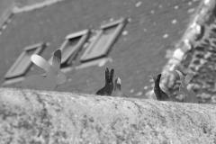 TonKlangLichterSpaziergang-22