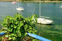 TonKlangLichterSpaziergang-4