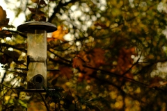 TonKlangLichterTakumarHerbst-5