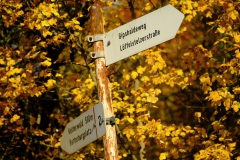 TonKlangLichterTauber-70